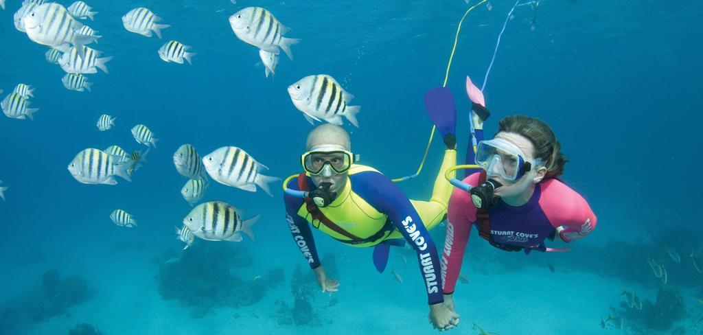 San Andrés Mary Hosting Sarie Bay 아파트 외부 사진