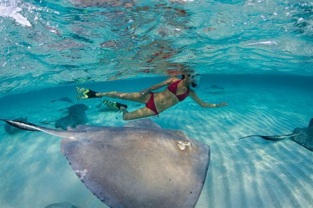 San Andrés Mary Hosting Sarie Bay 아파트 외부 사진